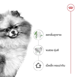 Royal Canin Mini Indoor Adult 3kg อาหารเม็ดสุนัขโต พันธุ์เล็ก เลี้ยงในบ้าน อายุ 10 เดือน-8 ปี(Dry Dog Food, โรยัล คานิน)