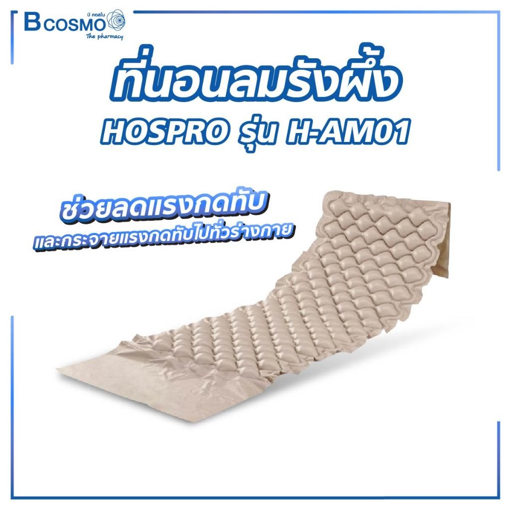 ผืนที่นอนลมรังผึ้ง HOSPRO รุ่น H-AM01 (เฉพาะที่นอน ไม่รวมชุดมอเตอร์) /D-MEDICAL