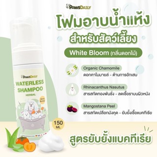 PAWSDAILY โฟมอาบน้ำแห้ง สุนัข แมว และ Exotic pets