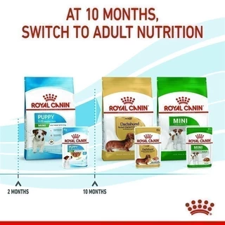 [12 ซอง] Royal Canin Mini Puppy Pouch Gravy อาหารเปียกลูกสุนัขพันธุ์เล็ก อายุ2-10เดือน (เกรวี่,Wet Dog Food,โรยัล คานิน)