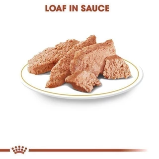 [12 ซอง] Royal Canin Poodle Adult Pouch Loaf อาหารเปียกสุนัขโต พันธุ์พุดเดิ้ล อายุ10เดือนขึ้นไป (โลฟ,โรยัล คานิน)