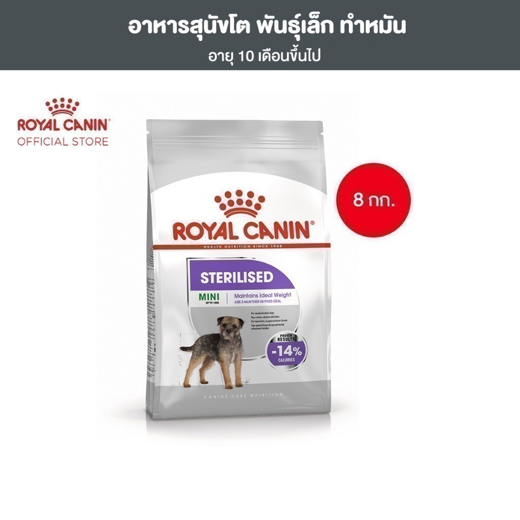 Royal Canin Mini Sterilised 8kg อาหารเม็ดสุนัขโต พันธุ์เล็ก ทำหมัน อายุ 10 เดือนขึ้นไป (Dry Dog Food, โรยัล คานิน)