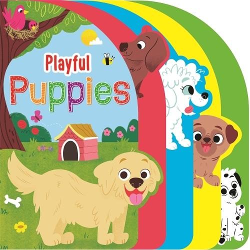 BBW หนังสือ Playful Puppies By Igloo Books ISBN: 9781800225398