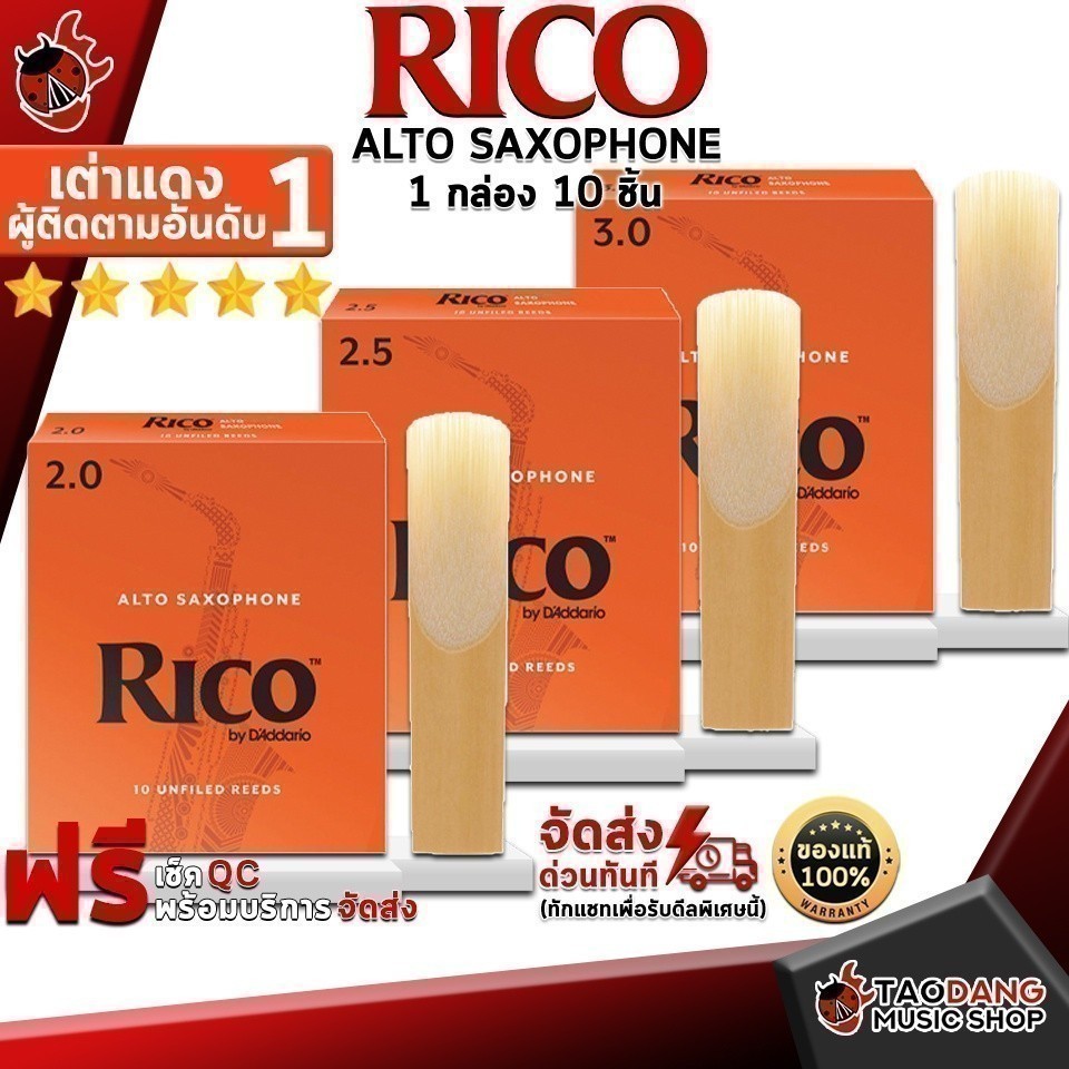 ทักแชทรับส่วนลด 2,000.- ลิ้นแซกโซโฟน Rico Alto Saxophone - Saxophone Reeds Rico Alto Saxophone เต่าเ