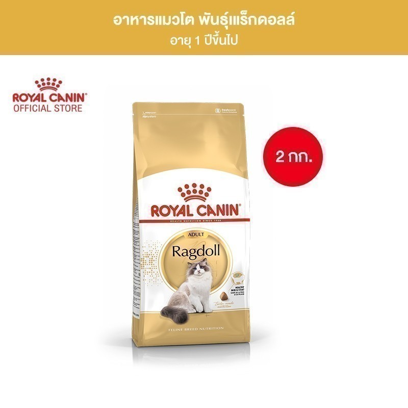 Royal Canin Ragdoll Adult 2kg อาหารเม็ดแมวโต พันธุ์แร็กดอลล์ อายุ 1 ปีขึ้นไป (Dry Cat Food, โรยัล คานิน)