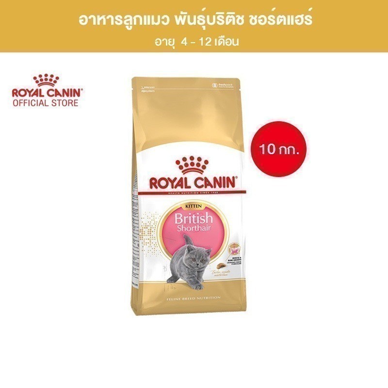 Royal Canin Kitten British Shorthair 10kg อาหารเม็ดลูกแมวพันธุ์บริติช ชอร์ทแฮร์ อายุ 4-12 เดือน (โรยัล คานิน)