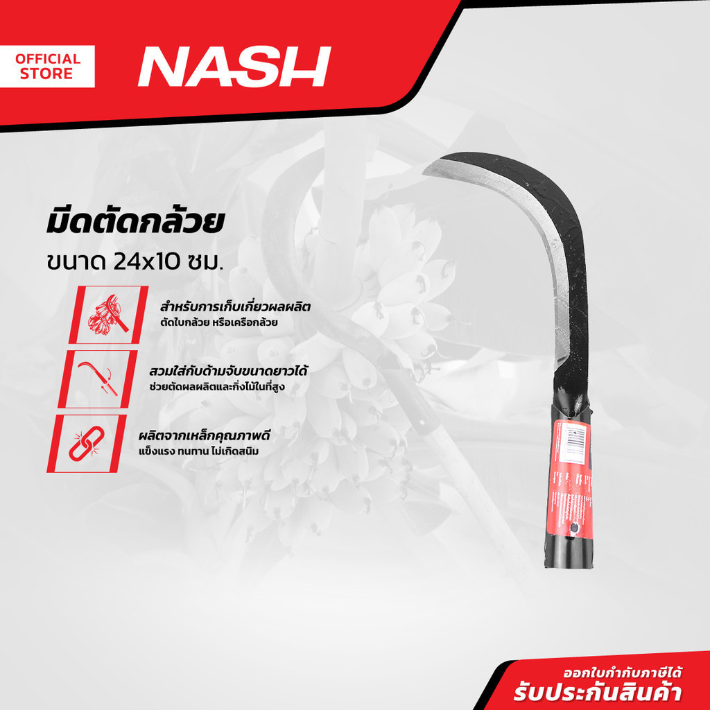 NASH มีดตัดกล้วย 24x10 ซม. |EA|