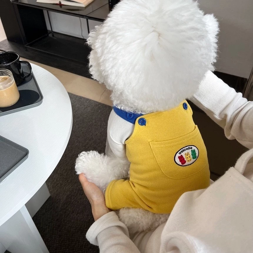 【Hipidog】กางเกงสายรัดสุนัขและแมวสุนัขขนาดเล็กกางเกงสี่ขาเสื้อผ้าสัตว์เลี้ยง