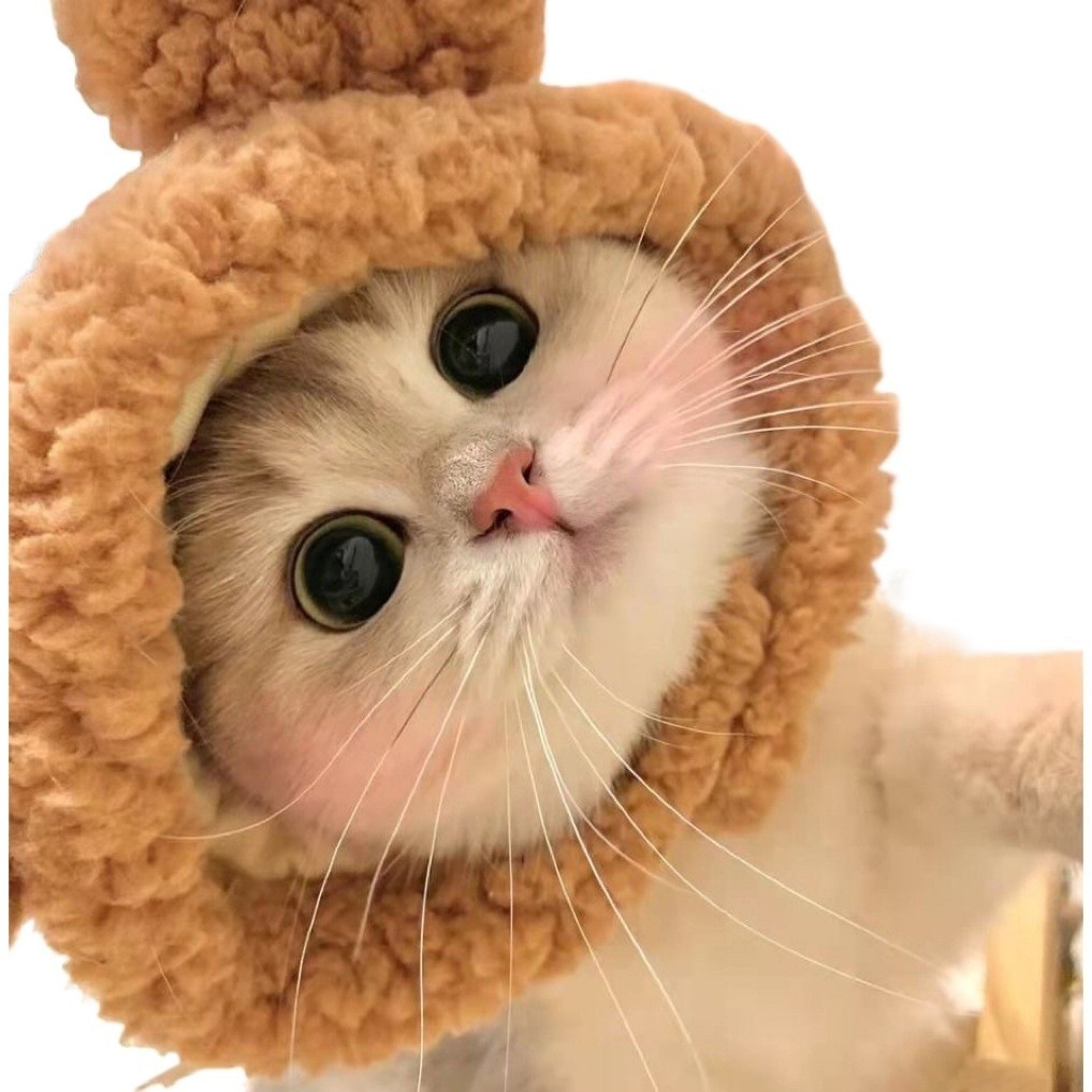 รูปภาพ 5