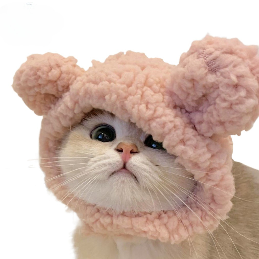 รูปภาพ 4