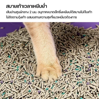 PETKIT Mixed Cat Litter 5 in 1 ทรายแมวผสมเหมาะกับห้องน้ำแมวอัตโนมัติทุกรุ่น