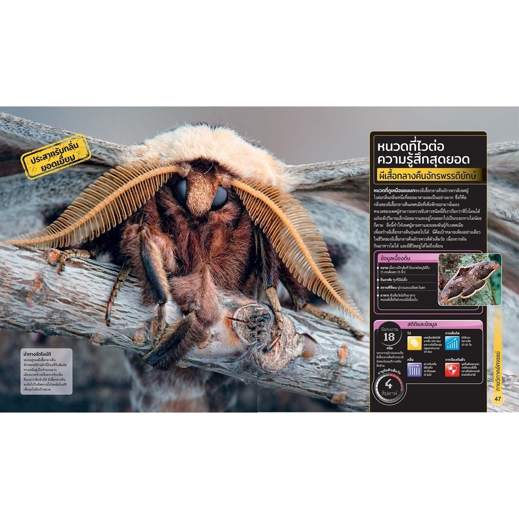 NANMEEBOOKS หนังสือ สารานุกรมความรู้ สุดยอดแมลง : เสริมความรู้เยาวชน สารานุกรม