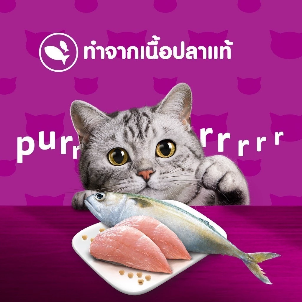 [24 ฟรี 4] WHISKAS วิสกัส อาหารเปียกแมว แมวโต ลูกแมว แมวสูงวัย เลือกรสชาติได้ 80ก. thumbnail 7