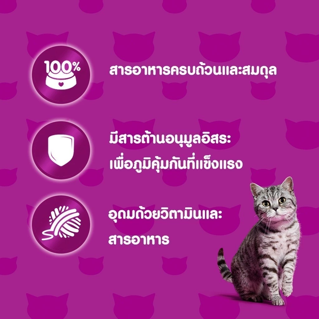 [24 ฟรี 4] WHISKAS วิสกัส อาหารเปียกแมว แมวโต ลูกแมว แมวสูงวัย เลือกรสชาติได้ 80ก. thumbnail 6