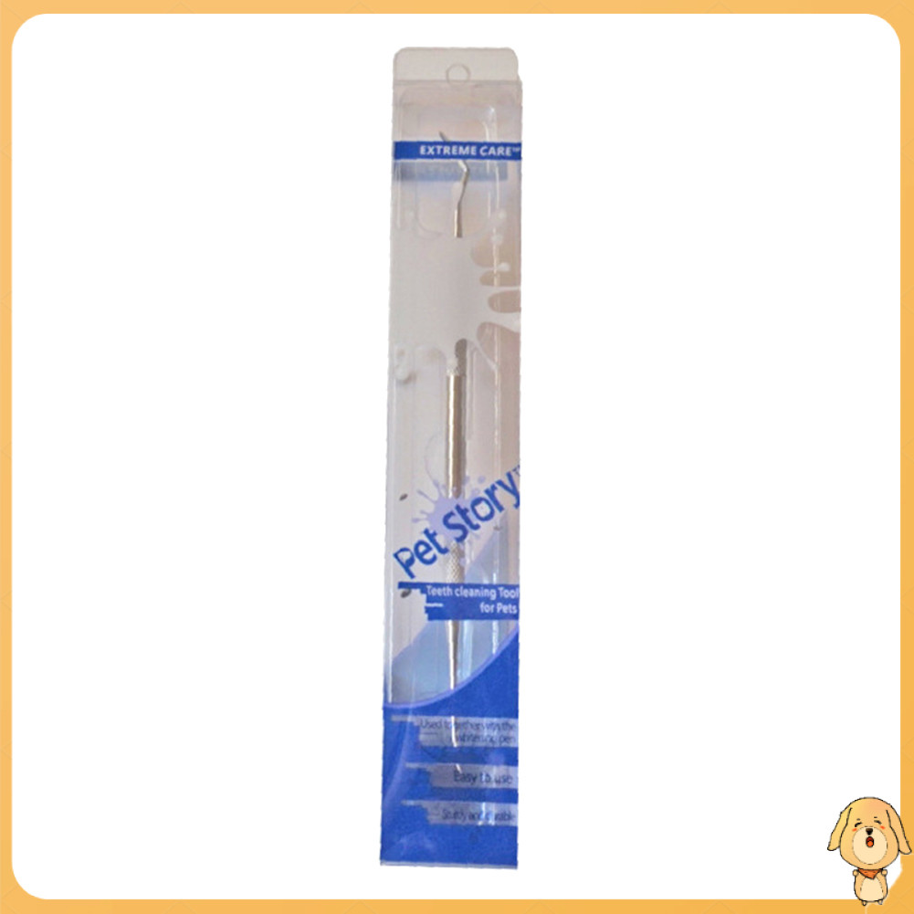  ที่ขูดหินปูน สเตนเลส สําหรับสัตว์เลี้ยง สุนัข แมว