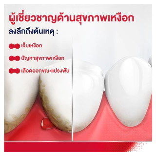 PARODONTAX FLUORIDE 150G X 2 พาโรดอนแทกซ์ ยาสีฟัน สูตรฟลูออไรด์ ปกป้องสุขภาพเหงือก ป้องกันฟันผุ 150 กรัม แพ็ค 2