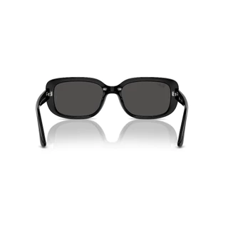 RAY-BAN RB4421D 667787 - Sunglasses แว่นกันแดด