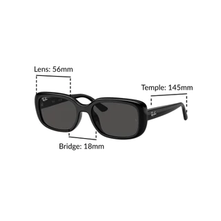 RAY-BAN RB4421D 667787 - Sunglasses แว่นกันแดด