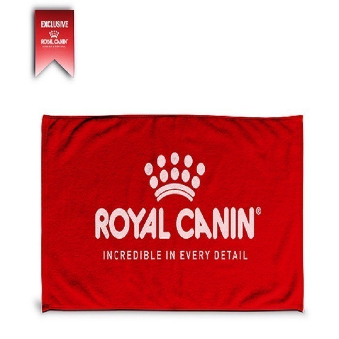 รูปภาพ 2