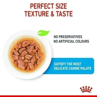 [12 ซอง] Royal Canin Mini Puppy Pouch Gravy อาหารเปียกลูกสุนัขพันธุ์เล็ก อายุ2-10เดือน (เกรวี่,Wet Dog Food,โรยัล คานิน)