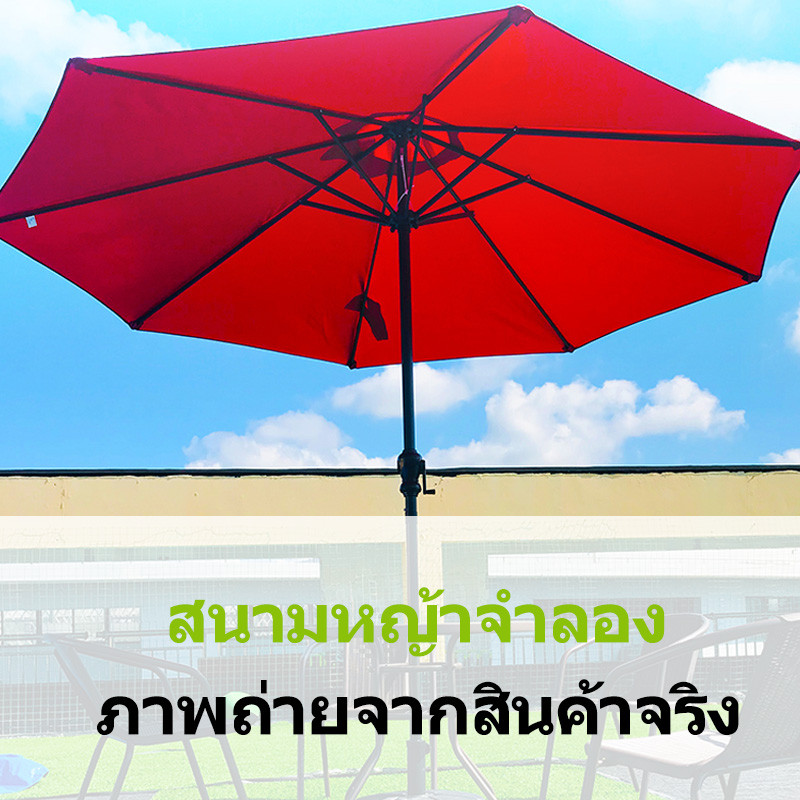 รูปภาพ 5