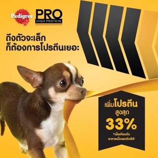 PEDIGREE เพดดิกรี โปร อาหารหมาพันธุ์ทอยและเล็กสูตรโปรตีนสูง 2.7 กก.