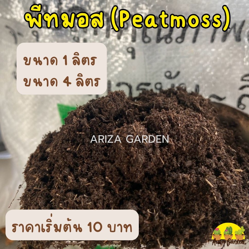 พีทมอส Peatmoss [แบ่งบรรจุ] พร้อมส่ง คลาสแมนแท้ ผสมวัสดุปลูก ดินปลูก เพาะเมล็ด ราคาถูกมาก