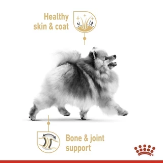 Royal Canin Pomeranian Adult 3kg อาหารเม็ดสุนัขโต พันธุ์ปอมเมอเรเนียน อายุ 8 เดือนขึ้นไป (Dry Dog Food, โรยัล คานิน)