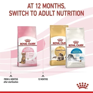 Royal Canin Kitten Sterilised 400g อาหารเม็ดลูกแมวหลังทำหมัน อายุ 6-12 เดือน (Dry Cat Food, โรยัล คานิน)