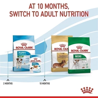 Royal Canin Mini Puppy 4kg อาหารเม็ดลูกสุนัข พันธุ์เล็ก อายุ 2-10 เดือน (Dry Dog Food, โรยัล คานิน)
