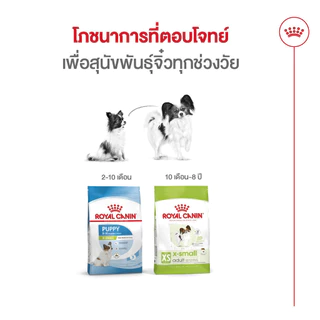 Royal Canin X-Small Adult 3kg อาหารเม็ดสุนัขโต พันธุ์จิ๋ว อายุ 10 เดือน–8 ปี (Dry Dog Food, โรยัล คานิน)