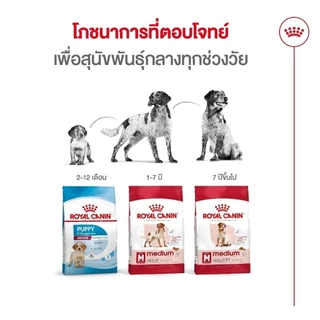 Royal Canin Medium Adult 7+ 4kg อาหารเม็ดสุนัขสูงวัย พันธุ์กลาง อายุ 7 ปีขึ้นไป (Dry Dog Food, โรยัล คานิน)