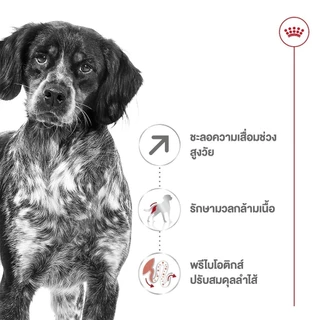 Royal Canin Medium Adult 7+ 4kg อาหารเม็ดสุนัขสูงวัย พันธุ์กลาง อายุ 7 ปีขึ้นไป (Dry Dog Food, โรยัล คานิน)