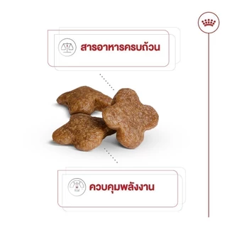 [เซตคู่สุดคุ้ม] Royal Canin Mini Adult 8+ 2kg+Royal Canin Mini Ageing 12+ Pouch Gravy สุนัขพันธุ์เล็ก อายุ 8 ปีขึ้นไป