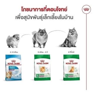Royal Canin Mini Indoor Senior1.5kg อาหารเม็ดสุนัขสูงวัยพันธุ์เล็ก เลี้ยงในบ้าน อายุ8ปีขึ้นไป(Dry Dog Food, โรยัล คานิน)