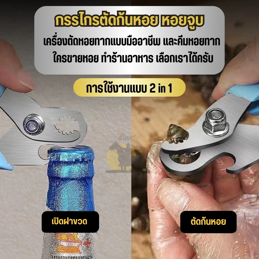 ที่ตัดก้นหอย หอยจูบ 2-1 เปิดขวดได้ด้วย หอยที่มีห้นยาวๆ ตัดง่ายไม่ต้องใช้มีดฟันให้ยุ่งยาก และไม่เสียงโดนมือ