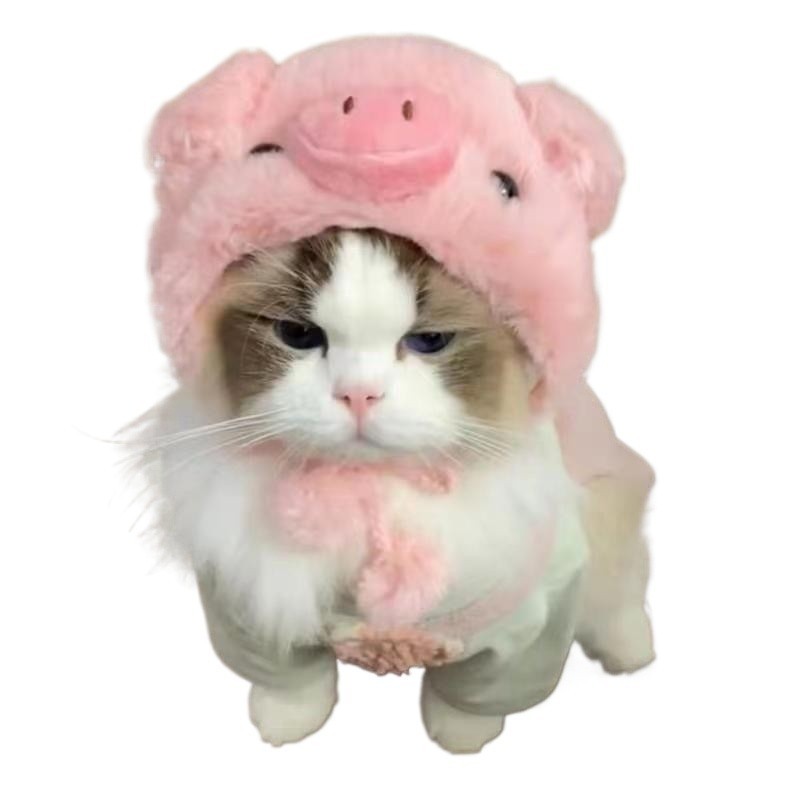 รูปภาพ 7