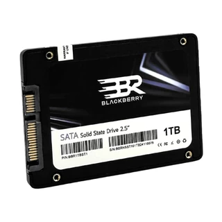 BLACKBERRY 1 TB SSD SATA (BBR1TBST1) - A0164961
