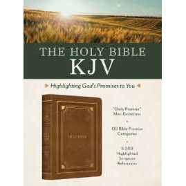 Holy Bible Kjv: Highlighting God's Promises to You [Gold & Camel]