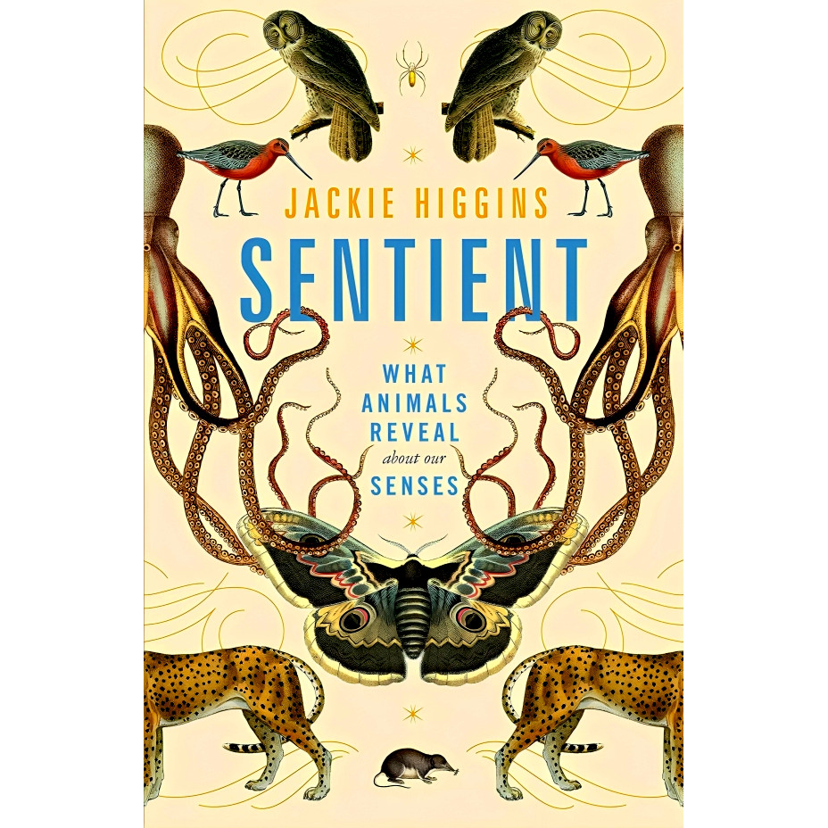BBW หนังสือ Sentient By Jackie Higgins ISBN: 9781529030785