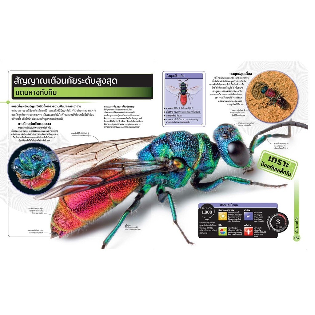 NANMEEBOOKS หนังสือ สารานุกรมความรู้ สุดยอดแมลง : เสริมความรู้เยาวชน สารานุกรม