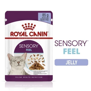 [12 ซอง] Royal Canin Sensory Feel Pouch Jellyอาหารเปียกแมวโตกินยากอายุ12เดือนขึ้นไป (เจลลี่, Wet Cat Food, โรยัล คานิน)