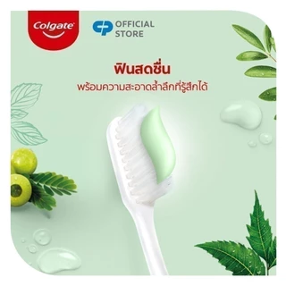 [มี 3 แพ็คให้เลือก] คอลเกต ยาสีฟัน สมุนไพร ดีท็อกซ์ เฮอร์เบิล ฟิวชั่น 120 กรัม Colgate Herbal Detox Herbal Fusion 120g