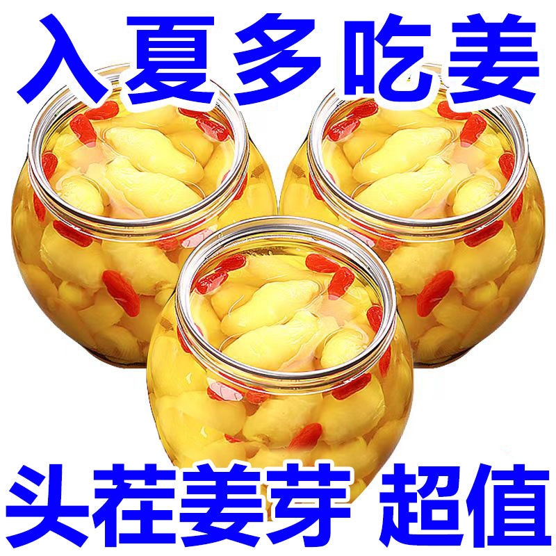 【Active】Tender Ginger Sprout Ginger Teeth Refreshing Sweet and Sour Tender Ginger Sprout Vinegar Soa