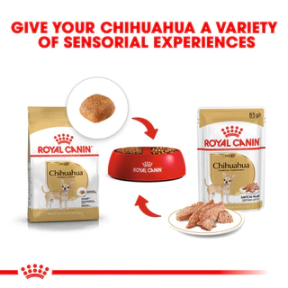 [เซตคู่สุดคุ้ม] Royal Canin Chihuahua Adult 3kg+Royal Canin Chihuahua Adult Pouch Loaf อาหารเม็ด+เปียก อายุ8เดือนขึ้นไป