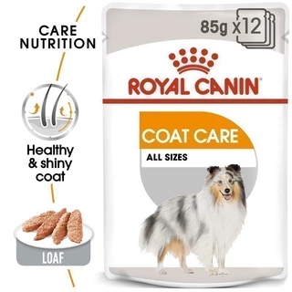 [12 ซอง] Royal Canin Coat Care Pouch Loaf อาหารเปียกสุนัขโตทุกขนาด บำรุงเส้นขน (โลฟ,Wet Dog Food,โรยัล คานิน)
