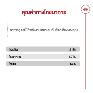 Royal Canin Mini Indoor Adult 3kg อาหารเม็ดสุนัขโต พันธุ์เล็ก เลี้ยงในบ้าน อายุ 10 เดือน-8 ปี(Dry Dog Food, โรยัล คานิน)
