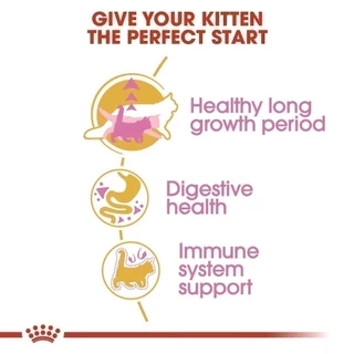Royal Canin Kitten Mainecoon 10kg อาหารเม็ดลูกแมว อายุ 2-15 เดือน (Dry Cat Food, โรยัล คานิน)