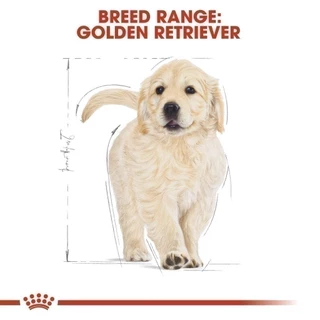 Royal Canin Golden Retriever Puppy 12kg อาหารเม็ดลูกสุนัข พันธุ์โกลเด้น รีทรีฟเวอร์ อายุต่ำกว่า 15 เดือน(โรยัล คานิน)