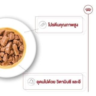 [10 ซอง] Royal Canin Medium Adult Pouch Gravy อาหารเปียกสุนัขโต พันธุ์กลาง อายุ 1 - 7 ปี (Dog Food, โรยัล คานิน)